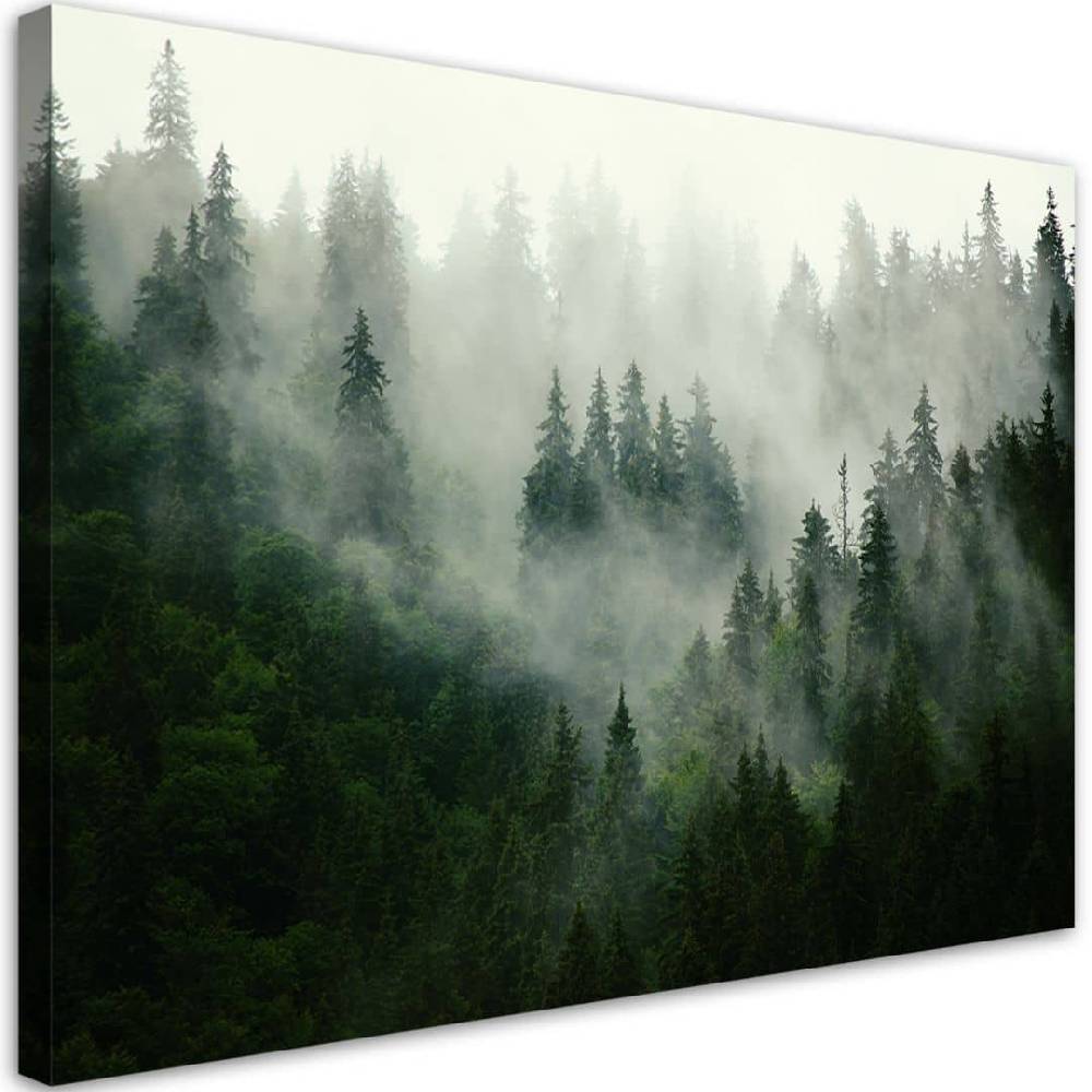 Kaeppel Leinwandbild, Wald im Nebel 50% Rabatt mit kostenlosem Versand