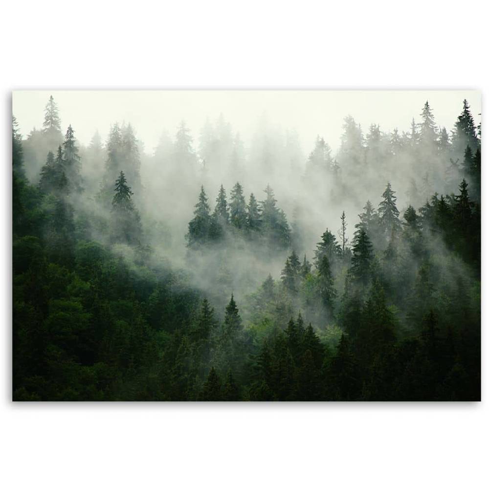 Kaeppel Leinwandbild, Wald im Nebel 50% Rabatt mit kostenlosem Versand