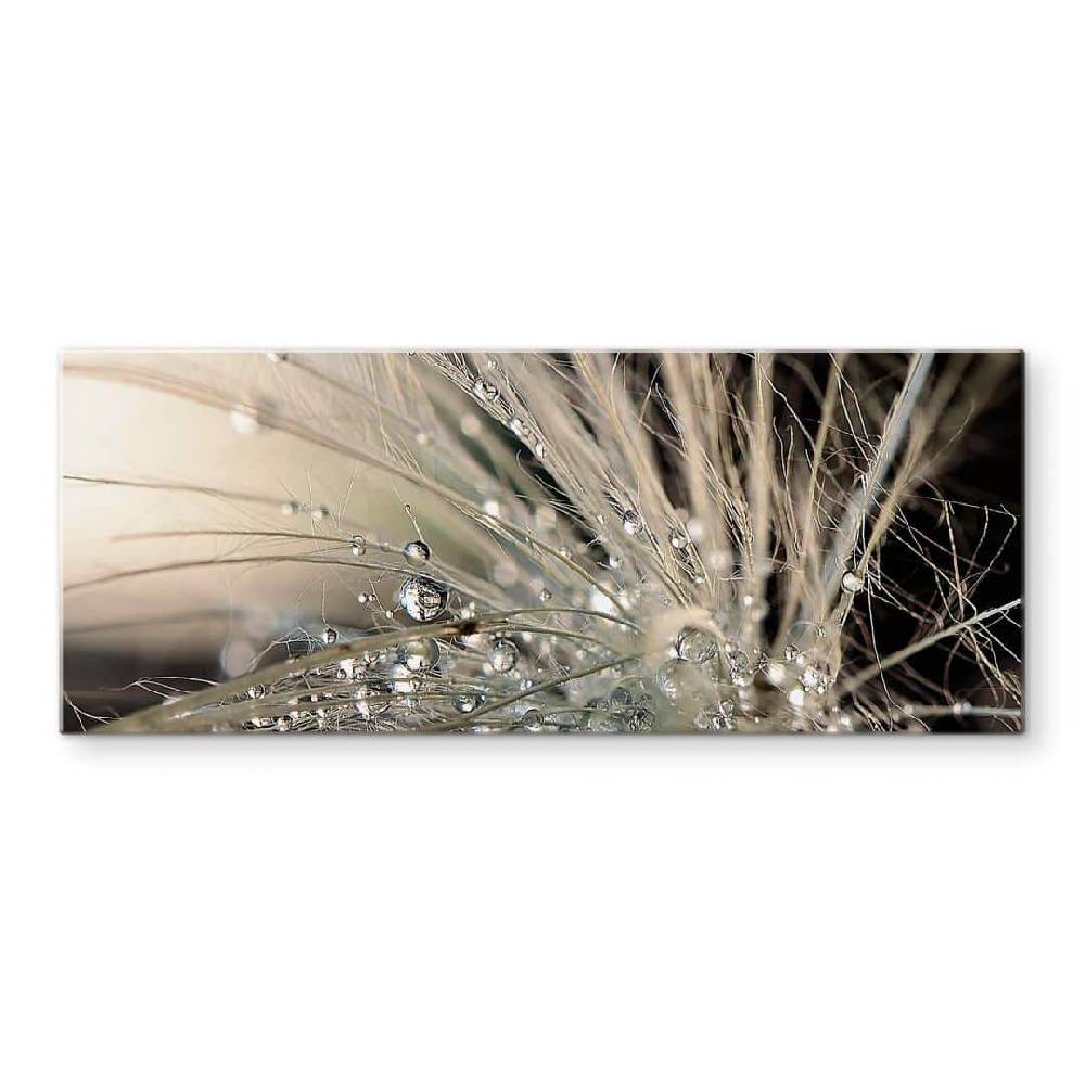 Kaeppel Spritzschutz Zahirimehr - Story of a waterdrop - Panorama Black Friday Preise