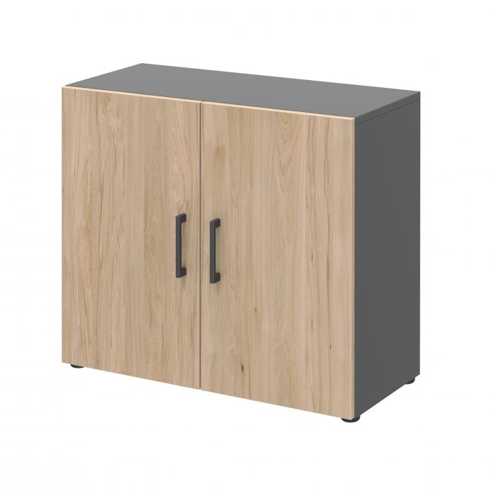 Röhr Bush Schrank in Anhtrazit und Hickory Nachbildung mit 2 Türen und 2 Ordnerhöhen